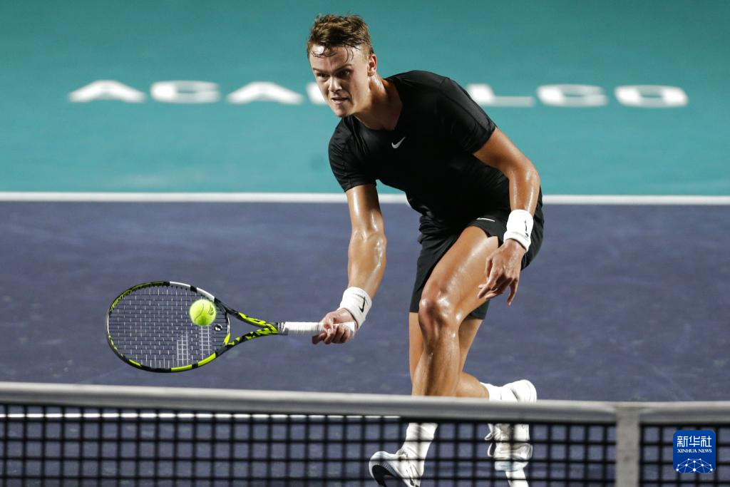 的单打手 的单打手