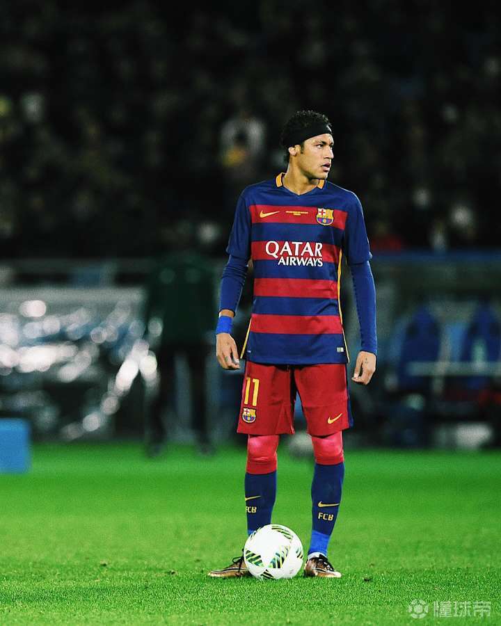 类似的归化 类似的归化